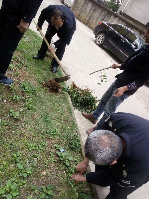 鮮水花園小區(qū)植樹活動